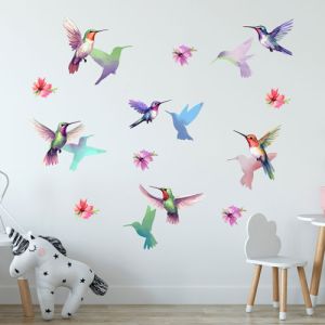 Kolibris falmatrica