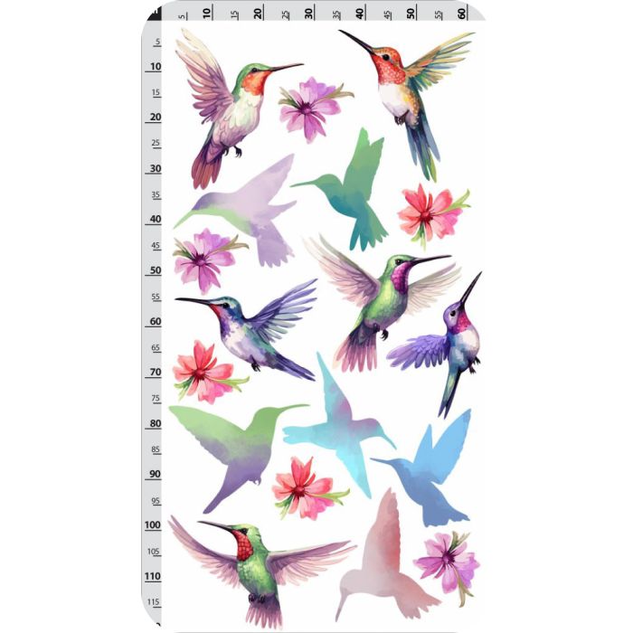 Kolibris falmatrica