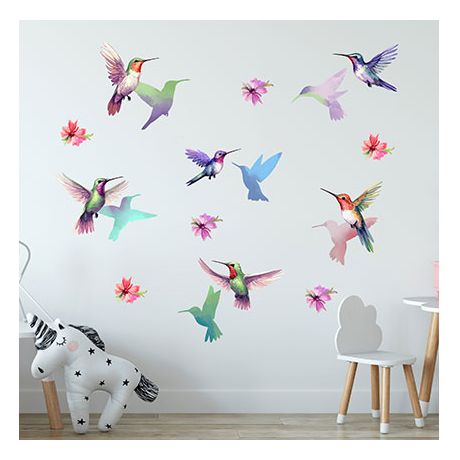 Kolibris falmatrica