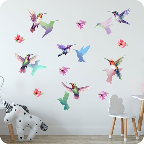 Kolibris falmatrica