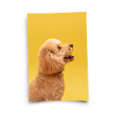 Fotó poszter